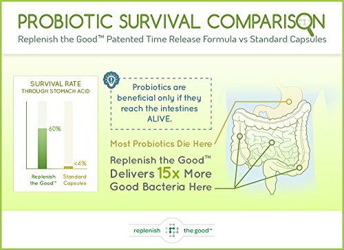 Power Probiotic Extra Strength 60ct 15 Billion CFU, 10 Strains, Kiwi Prebiotic, Time Release, 30-Day Supply. Reduce & Relieve Bloated Stomach & Acid Reflux. Intestinal, Digestive & Brain Health - Image 6